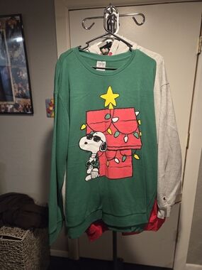 Peanuts Snoopy Holiday Graphic Sweatshirt - Green